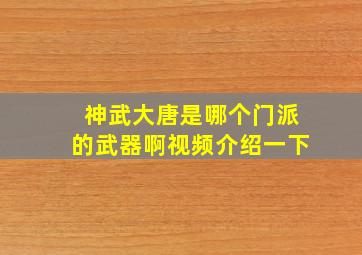 神武大唐是哪个门派的武器啊视频介绍一下
