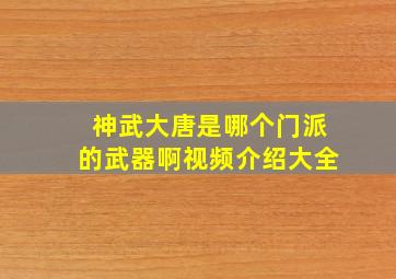 神武大唐是哪个门派的武器啊视频介绍大全