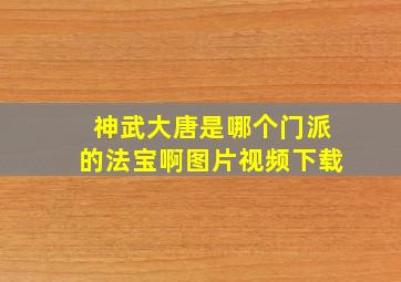 神武大唐是哪个门派的法宝啊图片视频下载