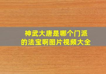 神武大唐是哪个门派的法宝啊图片视频大全