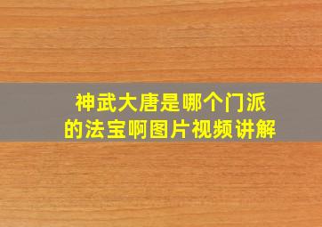 神武大唐是哪个门派的法宝啊图片视频讲解