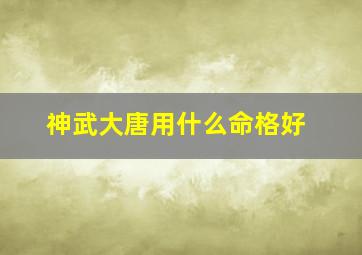 神武大唐用什么命格好