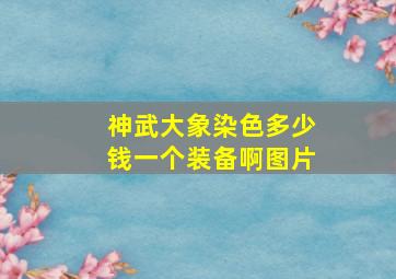 神武大象染色多少钱一个装备啊图片