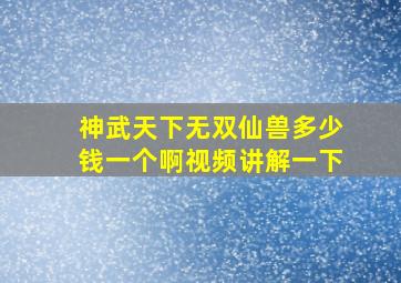 神武天下无双仙兽多少钱一个啊视频讲解一下