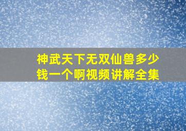 神武天下无双仙兽多少钱一个啊视频讲解全集