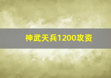 神武天兵1200攻资