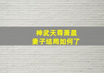 神武天尊萧晨妻子结局如何了