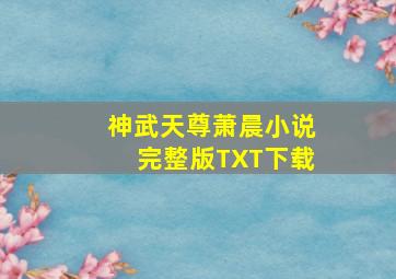 神武天尊萧晨小说完整版TXT下载