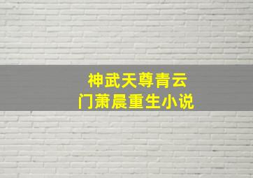 神武天尊青云门萧晨重生小说