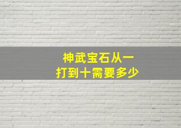 神武宝石从一打到十需要多少