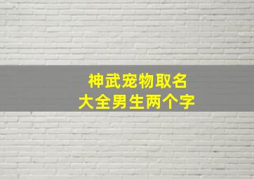 神武宠物取名大全男生两个字