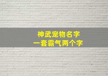 神武宠物名字一套霸气两个字