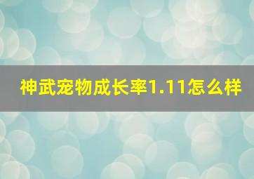 神武宠物成长率1.11怎么样