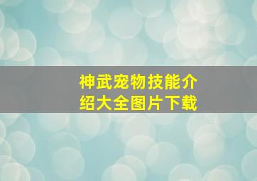 神武宠物技能介绍大全图片下载