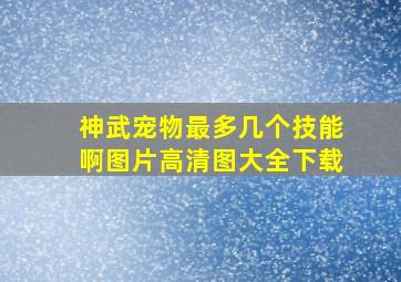 神武宠物最多几个技能啊图片高清图大全下载