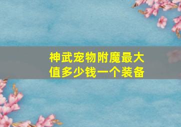 神武宠物附魔最大值多少钱一个装备