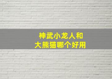 神武小龙人和大熊猫哪个好用