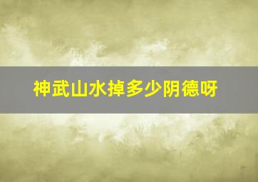 神武山水掉多少阴德呀