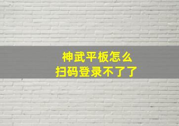 神武平板怎么扫码登录不了了