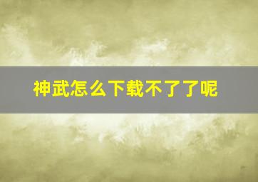 神武怎么下载不了了呢