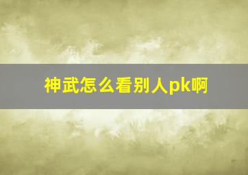 神武怎么看别人pk啊