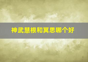 神武慧根和冥思哪个好