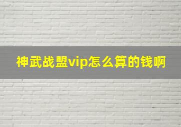 神武战盟vip怎么算的钱啊