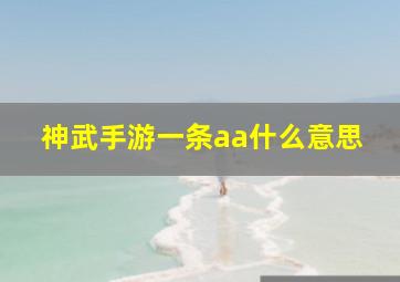 神武手游一条aa什么意思