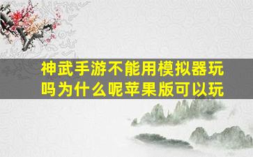 神武手游不能用模拟器玩吗为什么呢苹果版可以玩