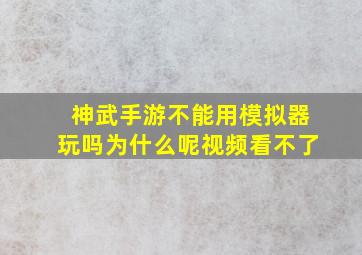 神武手游不能用模拟器玩吗为什么呢视频看不了