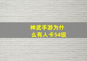 神武手游为什么有人卡54级