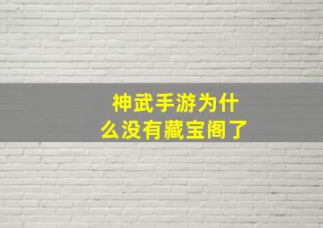 神武手游为什么没有藏宝阁了