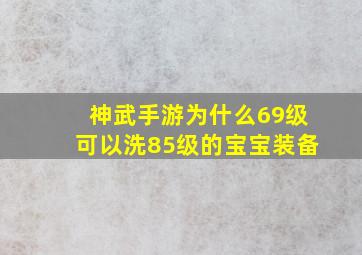 神武手游为什么69级可以洗85级的宝宝装备