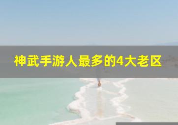 神武手游人最多的4大老区