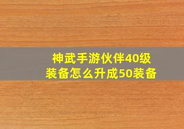 神武手游伙伴40级装备怎么升成50装备