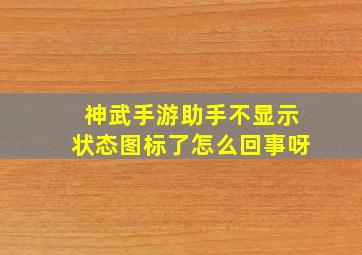 神武手游助手不显示状态图标了怎么回事呀