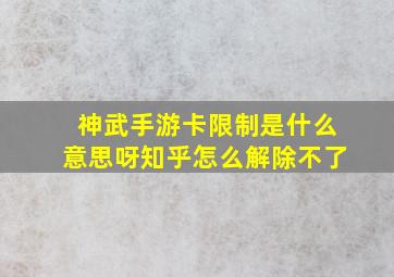 神武手游卡限制是什么意思呀知乎怎么解除不了