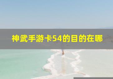 神武手游卡54的目的在哪