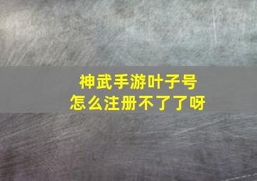 神武手游叶子号怎么注册不了了呀