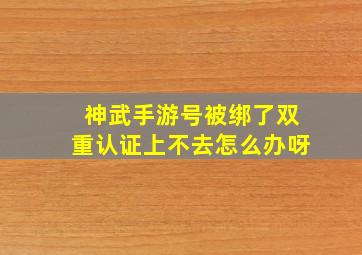 神武手游号被绑了双重认证上不去怎么办呀