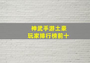 神武手游土豪玩家排行榜前十