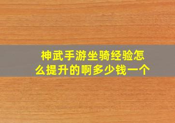 神武手游坐骑经验怎么提升的啊多少钱一个