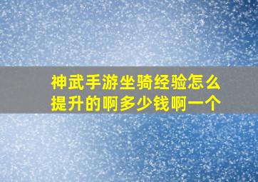 神武手游坐骑经验怎么提升的啊多少钱啊一个