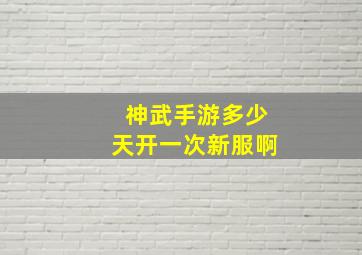 神武手游多少天开一次新服啊