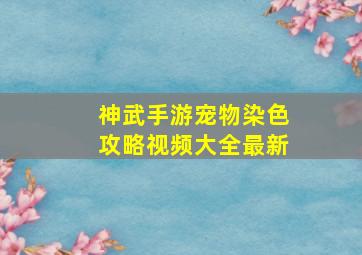 神武手游宠物染色攻略视频大全最新