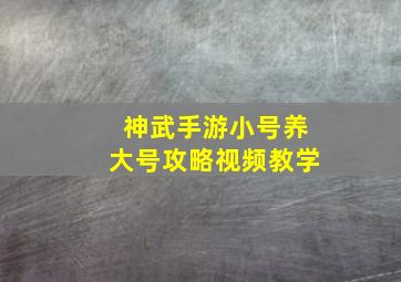 神武手游小号养大号攻略视频教学