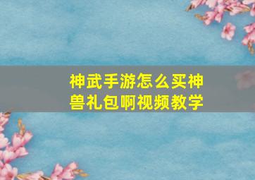 神武手游怎么买神兽礼包啊视频教学