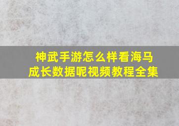 神武手游怎么样看海马成长数据呢视频教程全集