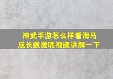 神武手游怎么样看海马成长数据呢视频讲解一下