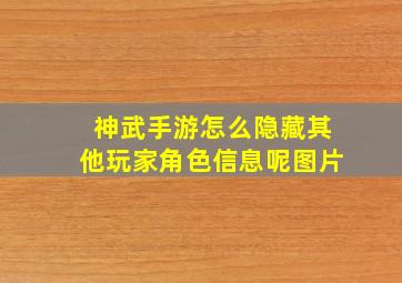 神武手游怎么隐藏其他玩家角色信息呢图片